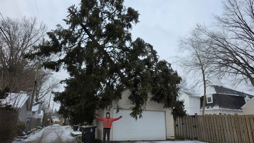 Storm Damage