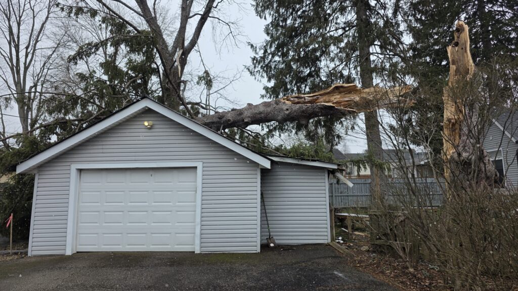 Storm Damage 3