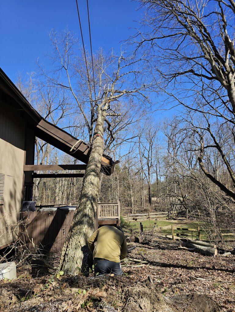 Storm Damage 6
