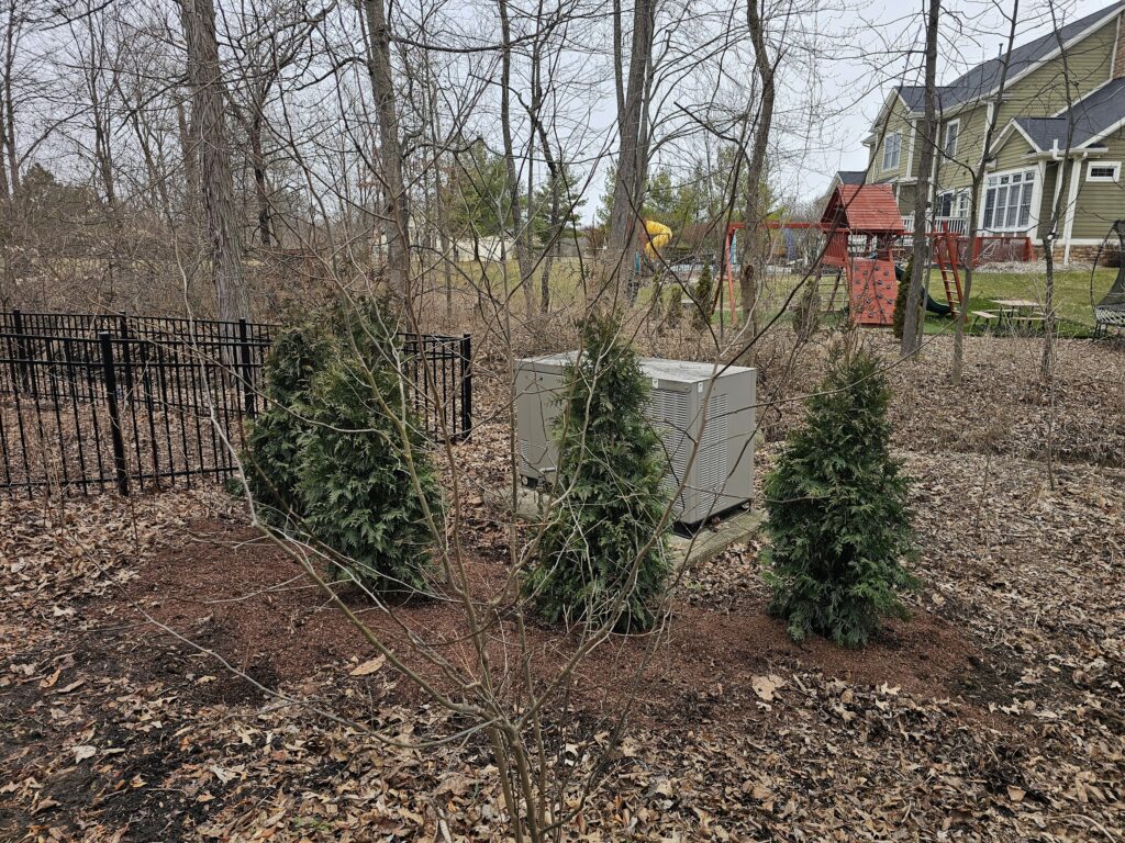Tree Installation 7
