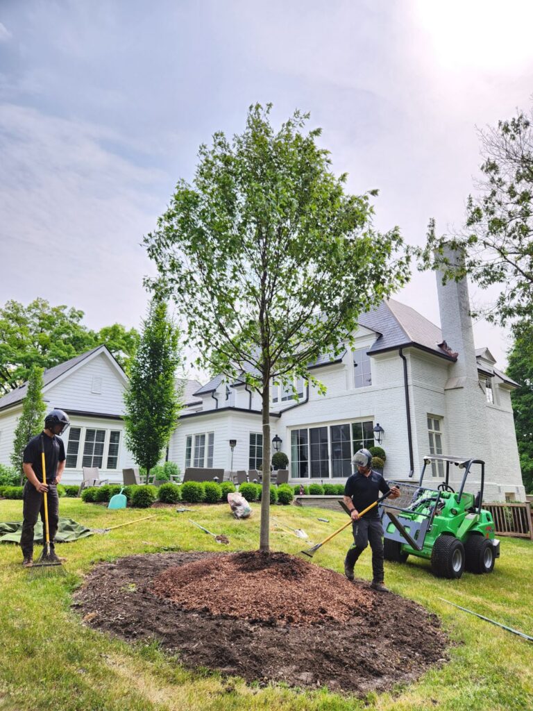 Tree Installation Services