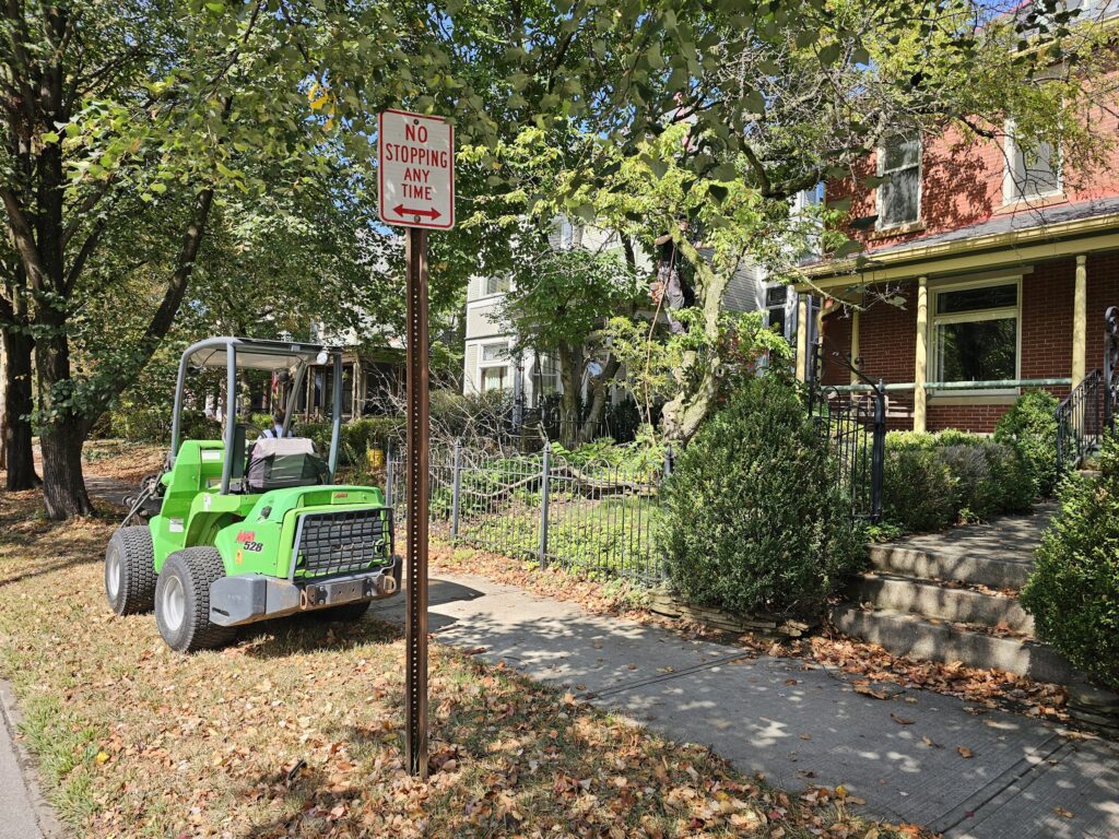 Tree Removal 1