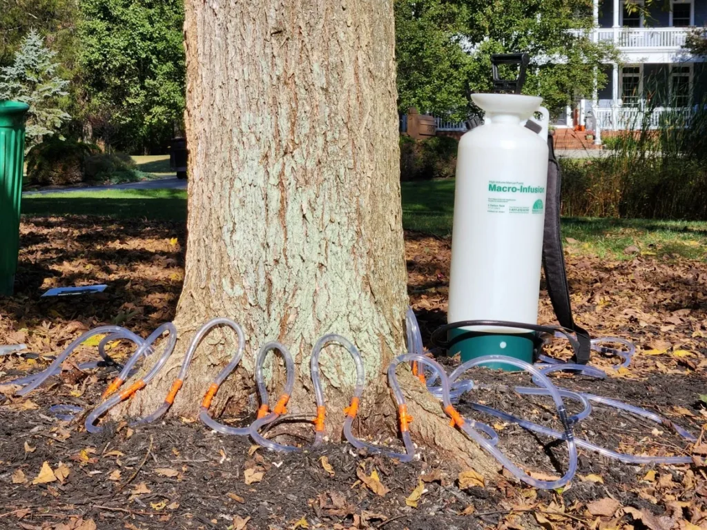 TreeDiaper watering system installed on newly planted tree
