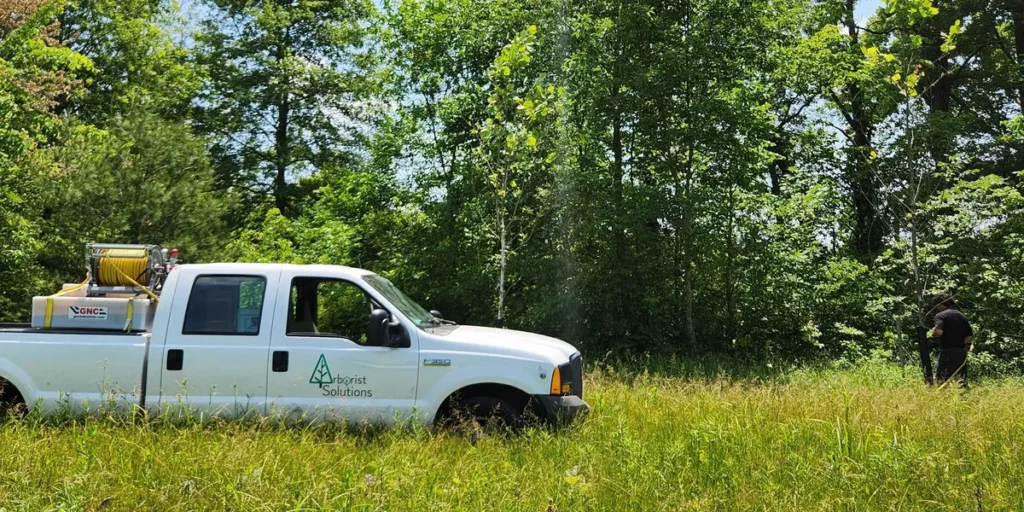 Tree health care service by Arborist Solutions in Columbus Ohio
