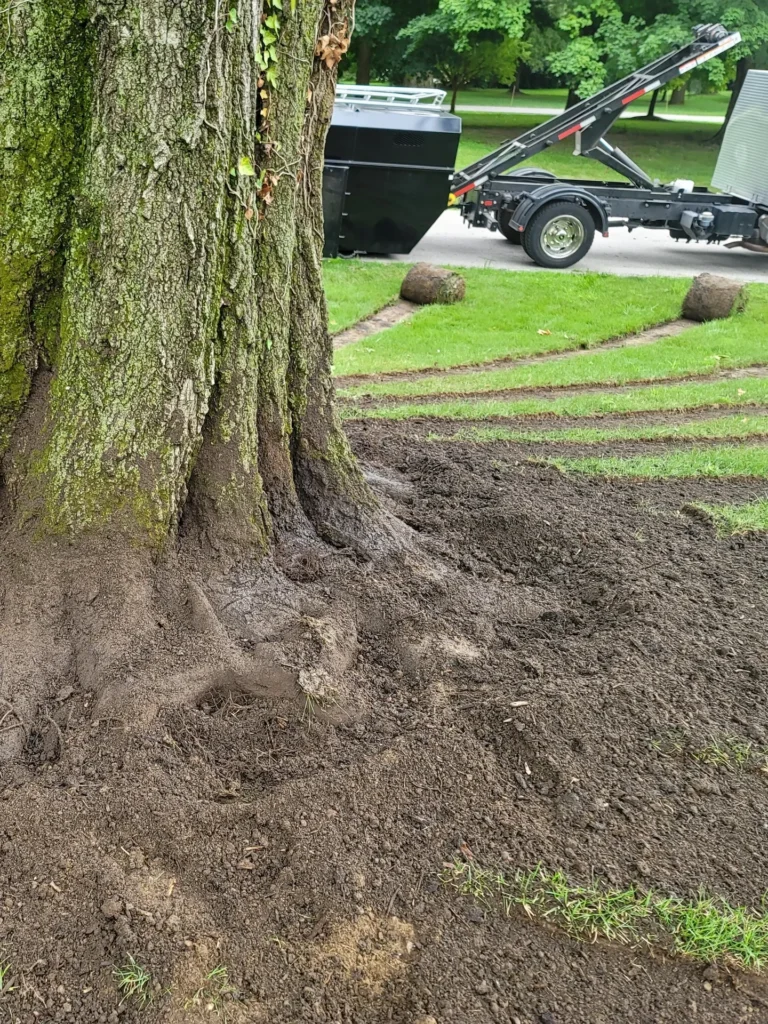 Arborist Solutions crew at work in residential yard