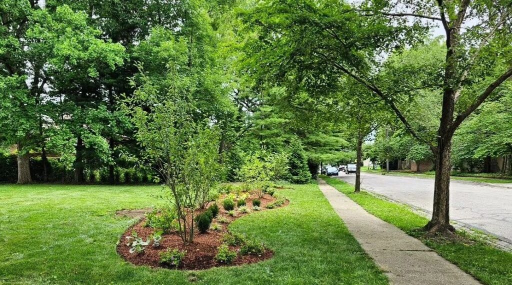 Arborist Solutions tree care work in Central Ohio
